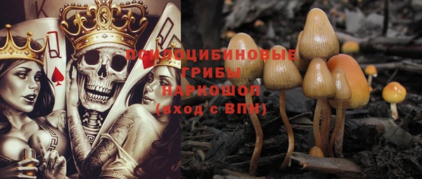 дмт Баксан